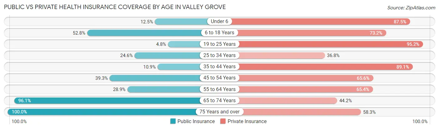 Public vs Private Health Insurance Coverage by Age in Valley Grove