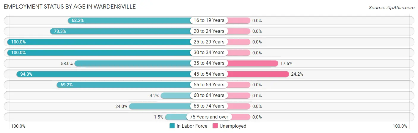 Employment Status by Age in Wardensville