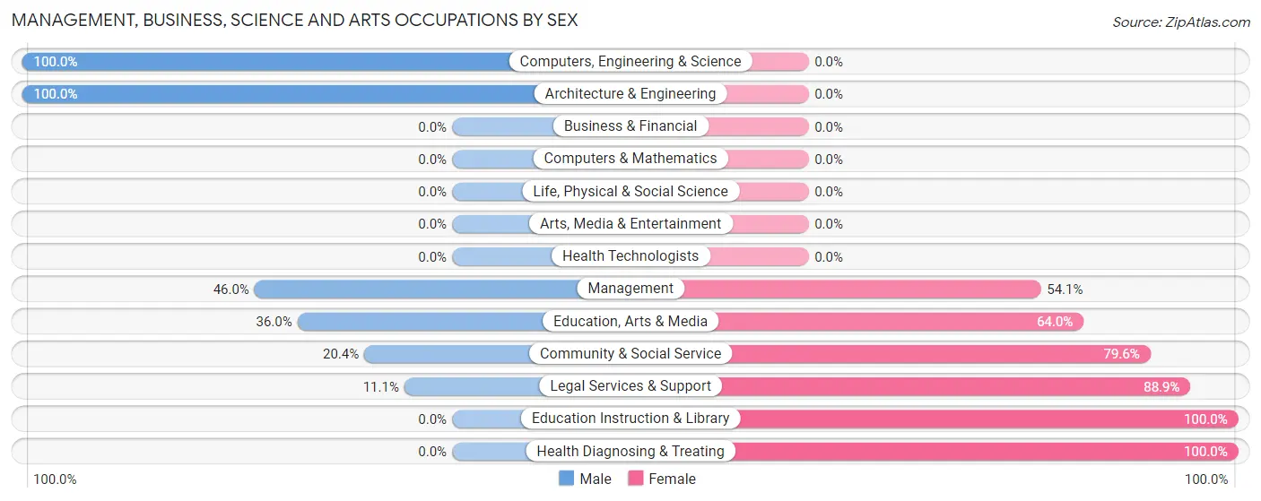 Management, Business, Science and Arts Occupations by Sex in Welch