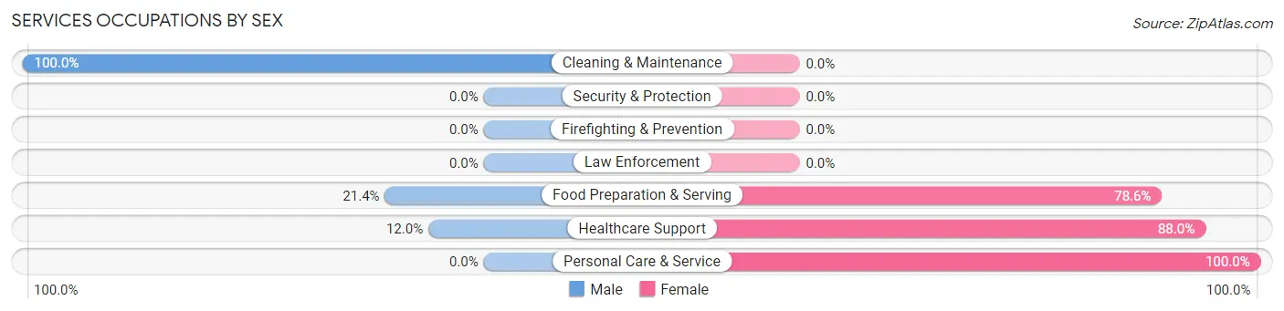 Services Occupations by Sex in West Milford