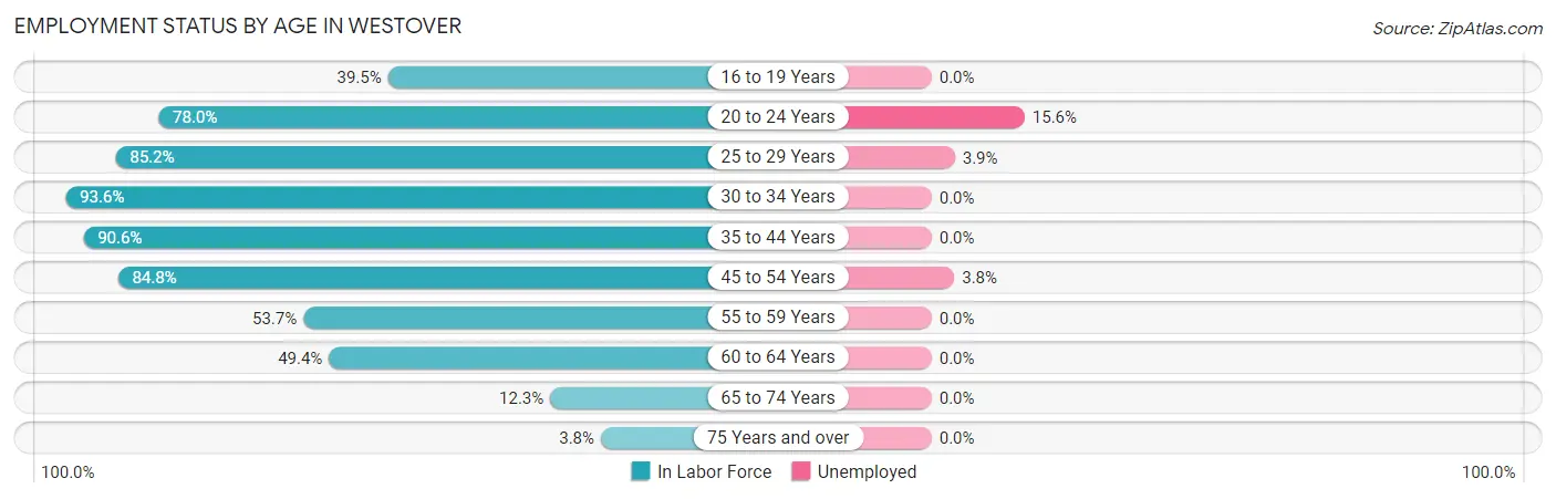 Employment Status by Age in Westover