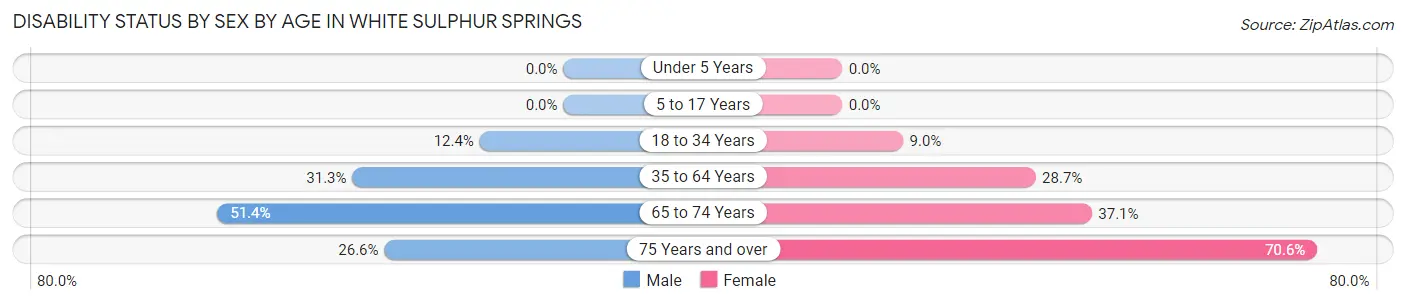 Disability Status by Sex by Age in White Sulphur Springs