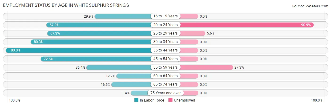 Employment Status by Age in White Sulphur Springs