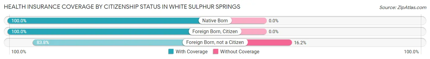 Health Insurance Coverage by Citizenship Status in White Sulphur Springs