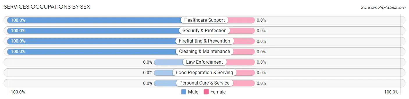 Services Occupations by Sex in Bairoil