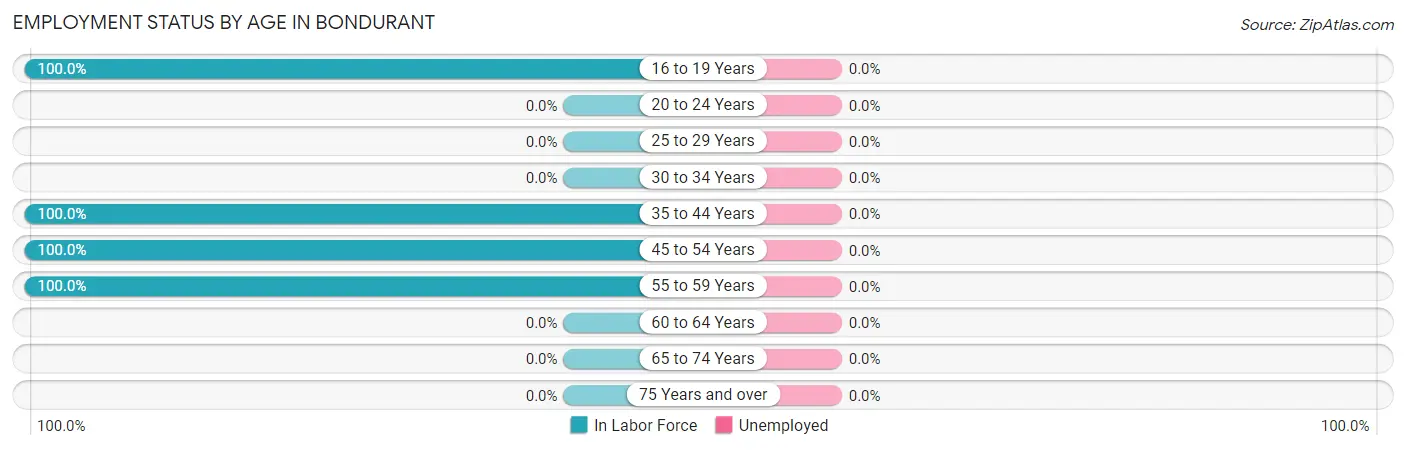 Employment Status by Age in Bondurant