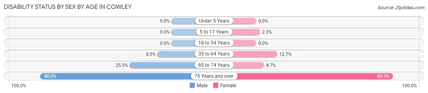 Disability Status by Sex by Age in Cowley