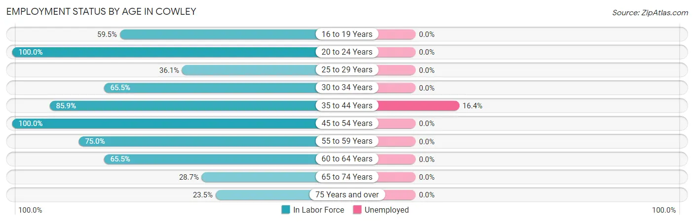 Employment Status by Age in Cowley