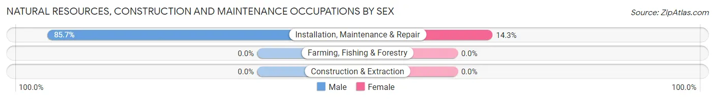 Natural Resources, Construction and Maintenance Occupations by Sex in Elk Mountain