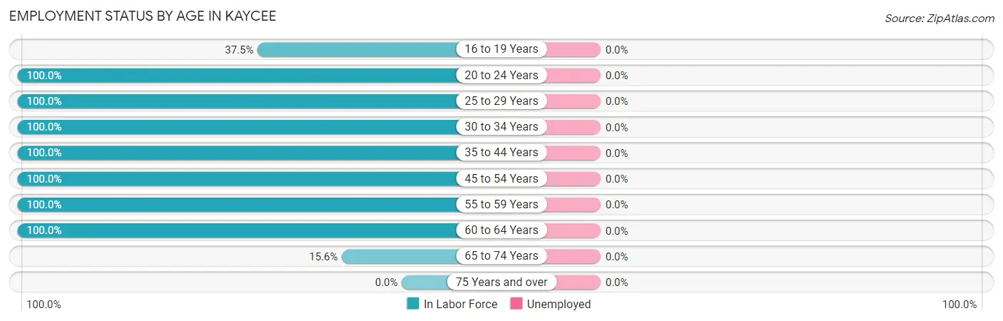 Employment Status by Age in Kaycee