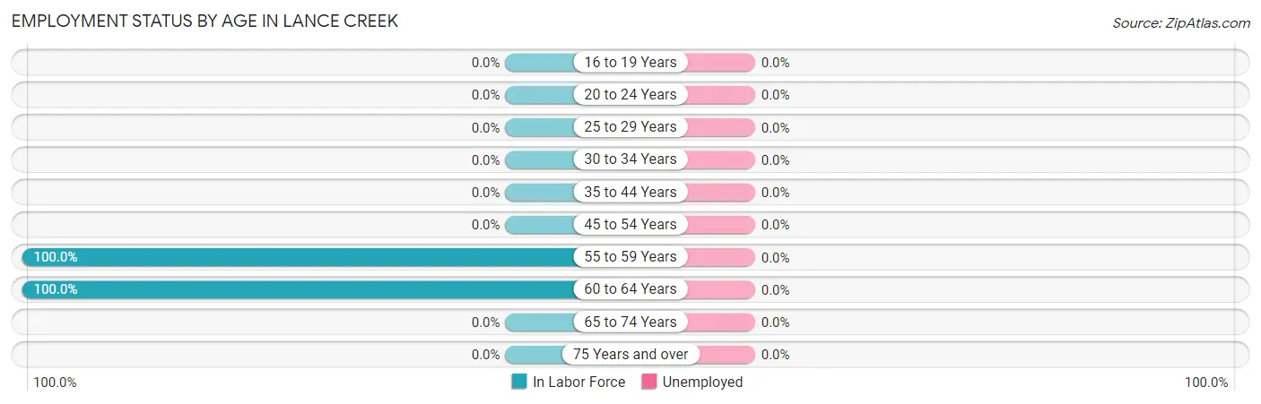 Employment Status by Age in Lance Creek