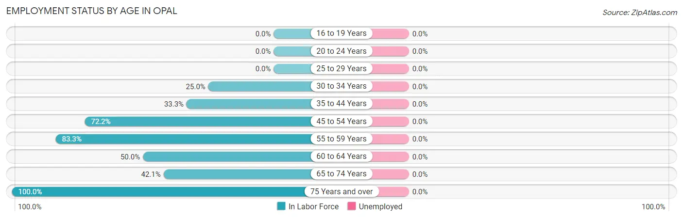 Employment Status by Age in Opal