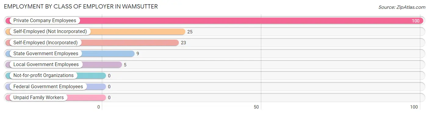 Employment by Class of Employer in Wamsutter