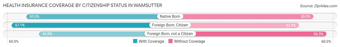 Health Insurance Coverage by Citizenship Status in Wamsutter