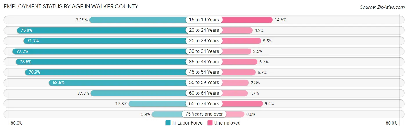 Employment Status by Age in Walker County