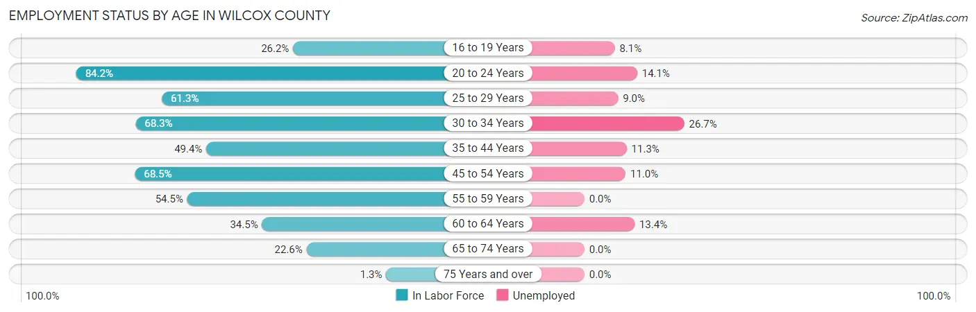 Employment Status by Age in Wilcox County