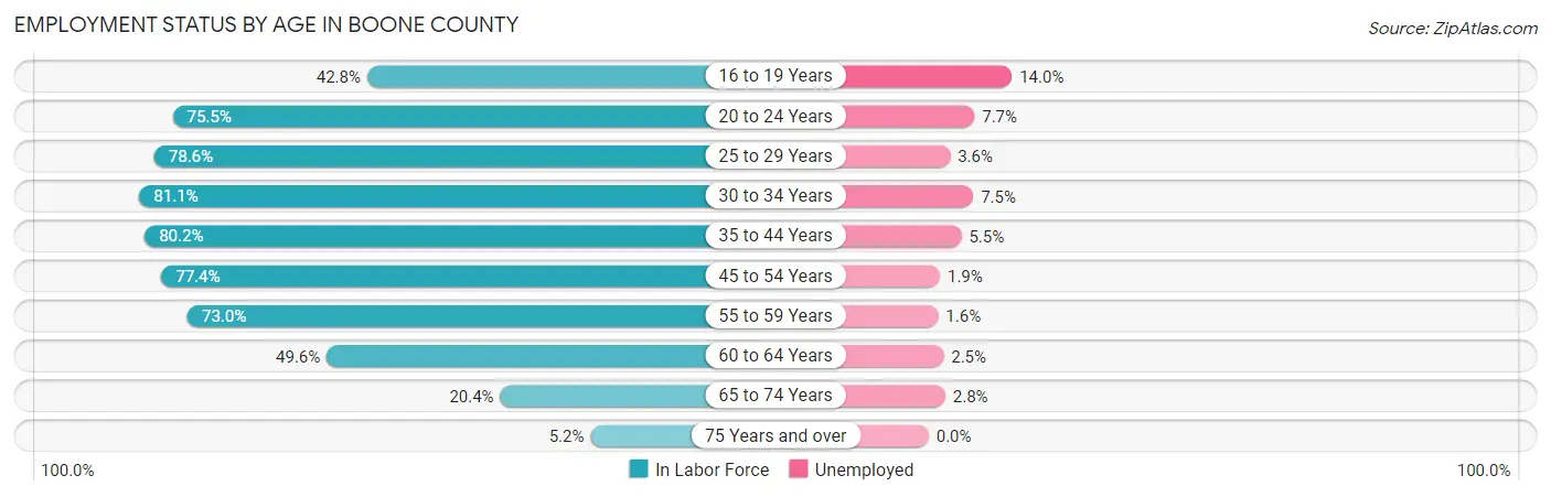 Employment Status by Age in Boone County