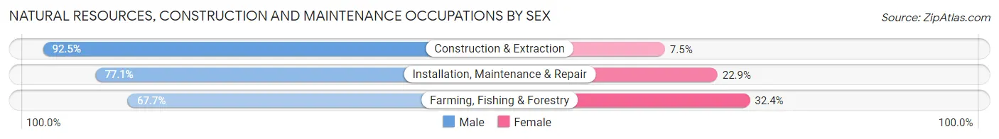 Natural Resources, Construction and Maintenance Occupations by Sex in Hot Spring County