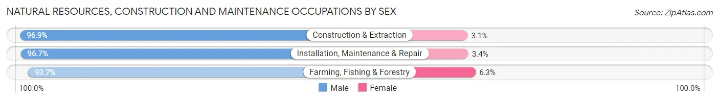 Natural Resources, Construction and Maintenance Occupations by Sex in Independence County