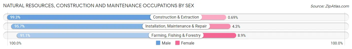 Natural Resources, Construction and Maintenance Occupations by Sex in Lonoke County