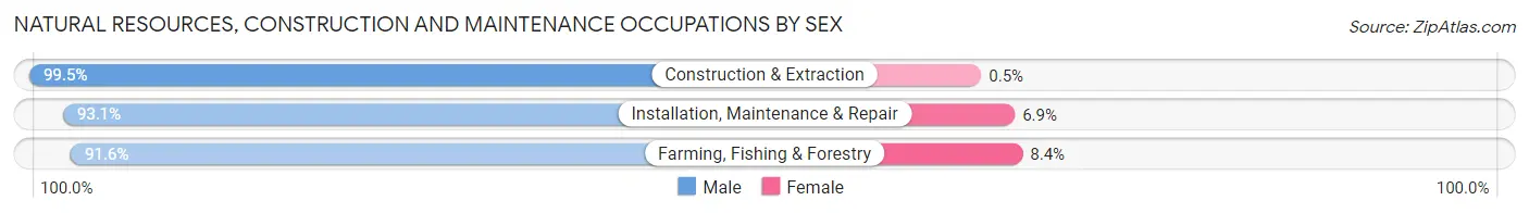 Natural Resources, Construction and Maintenance Occupations by Sex in Mississippi County