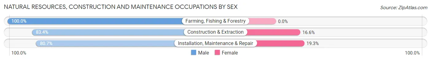Natural Resources, Construction and Maintenance Occupations by Sex in Ouachita County