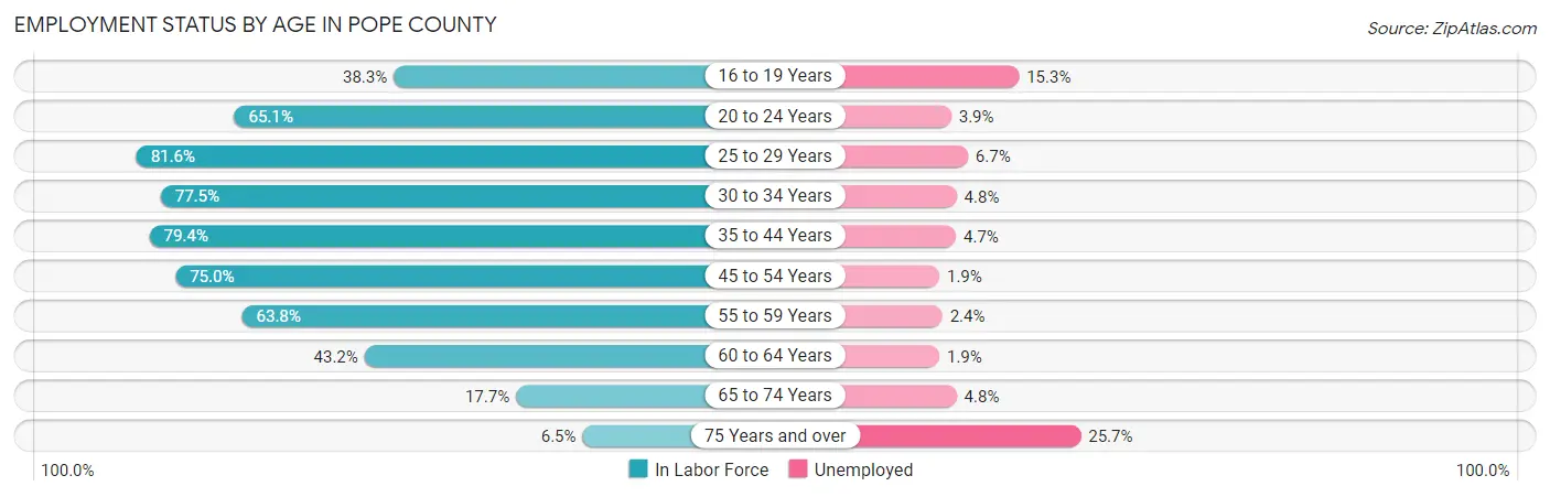 Employment Status by Age in Pope County
