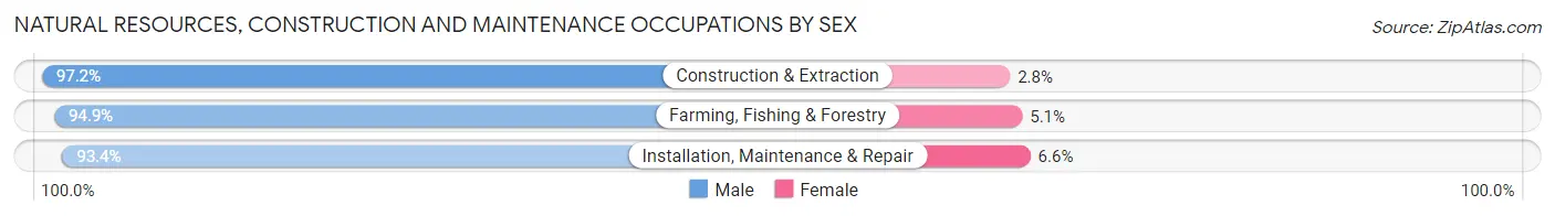 Natural Resources, Construction and Maintenance Occupations by Sex in Pulaski County