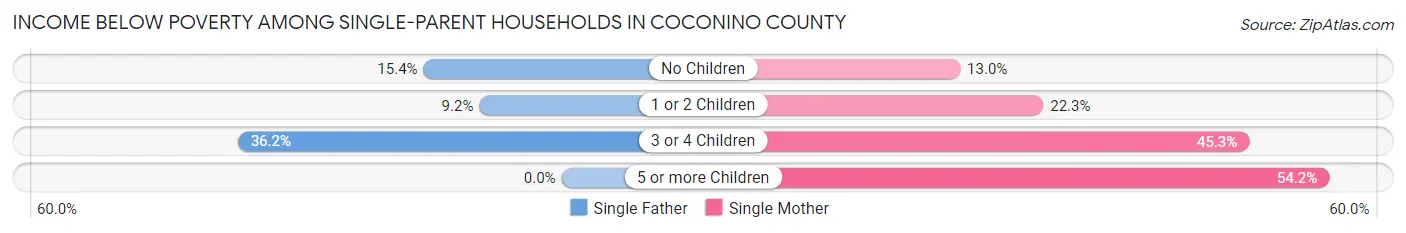 Income Below Poverty Among Single-Parent Households in Coconino County