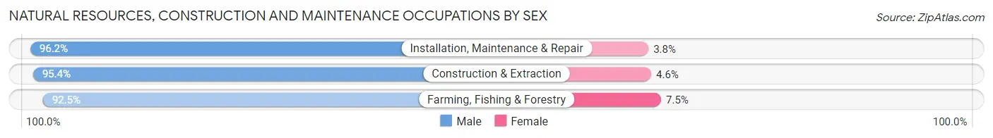 Natural Resources, Construction and Maintenance Occupations by Sex in Gila County