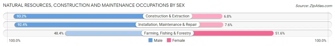 Natural Resources, Construction and Maintenance Occupations by Sex in Graham County