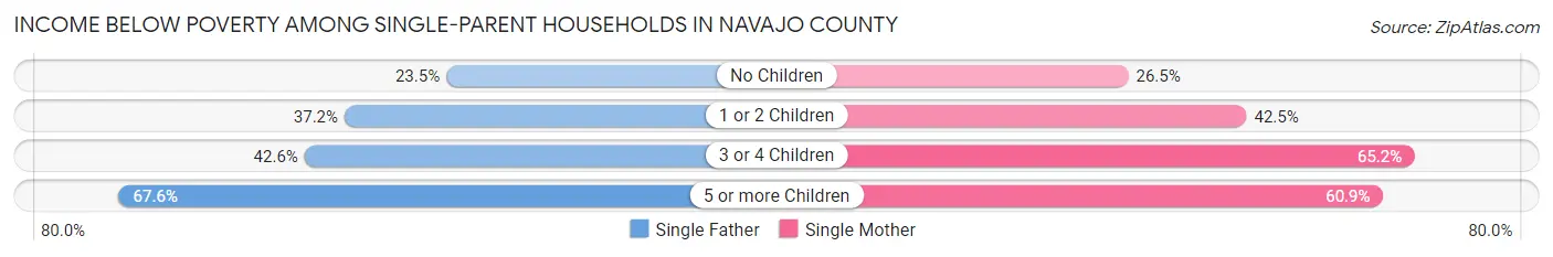 Income Below Poverty Among Single-Parent Households in Navajo County