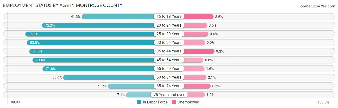 Employment Status by Age in Montrose County
