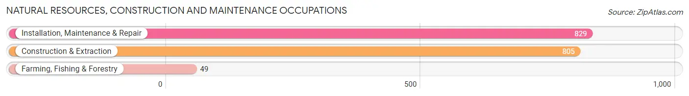 Natural Resources, Construction and Maintenance Occupations in Baldwin County