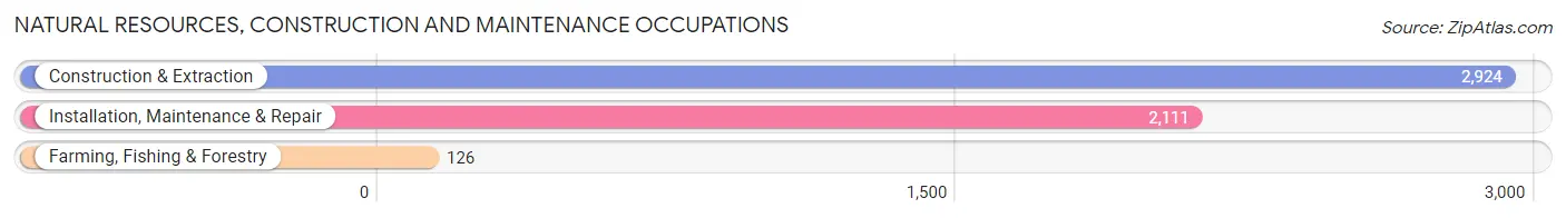 Natural Resources, Construction and Maintenance Occupations in Barrow County