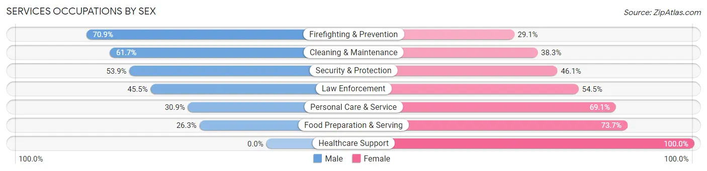 Services Occupations by Sex in Ben Hill County