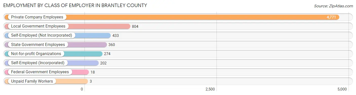 Employment by Class of Employer in Brantley County