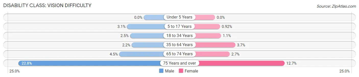 Disability in Bryan County: <span>Vision Difficulty</span>