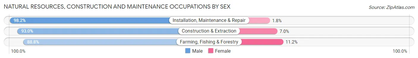 Natural Resources, Construction and Maintenance Occupations by Sex in Burke County