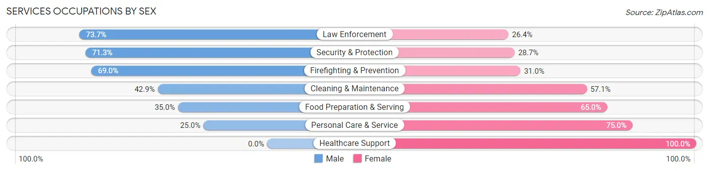 Services Occupations by Sex in Burke County