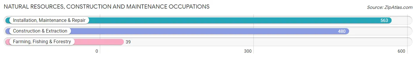 Natural Resources, Construction and Maintenance Occupations in Crisp County