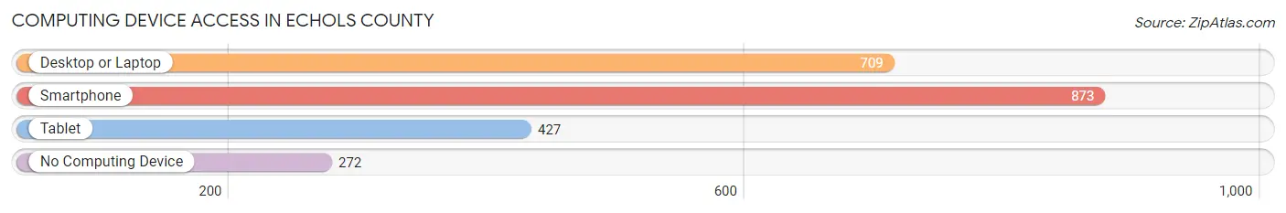Computing Device Access in Echols County