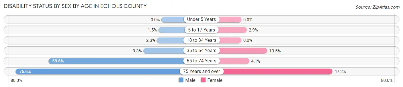 Disability Status by Sex by Age in Echols County