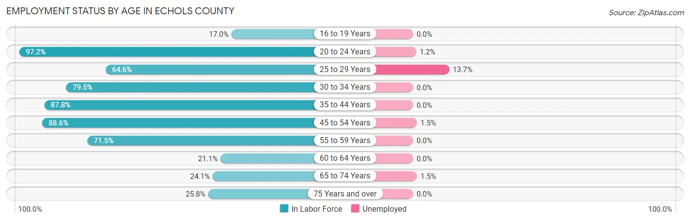 Employment Status by Age in Echols County