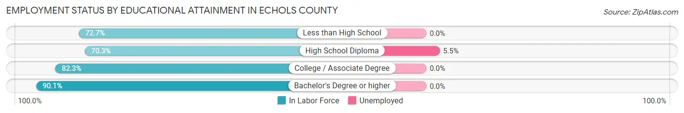Employment Status by Educational Attainment in Echols County