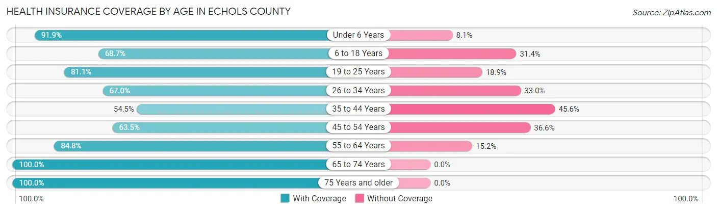 Health Insurance Coverage by Age in Echols County