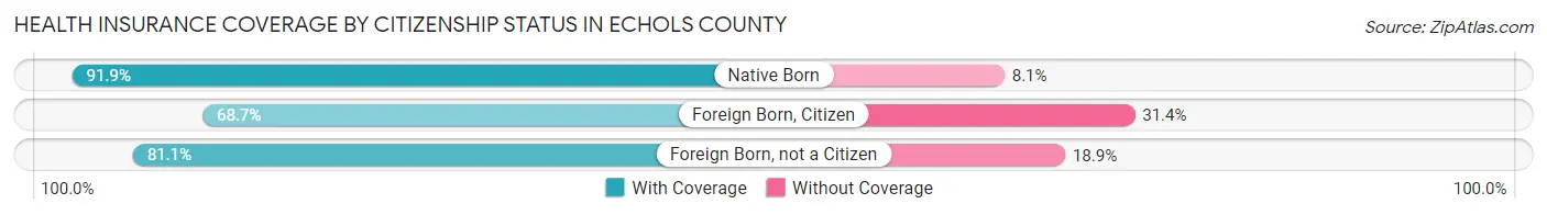 Health Insurance Coverage by Citizenship Status in Echols County