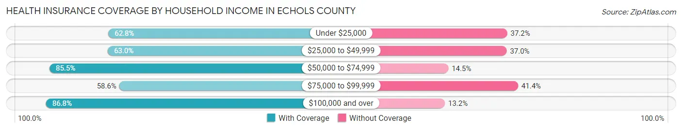 Health Insurance Coverage by Household Income in Echols County