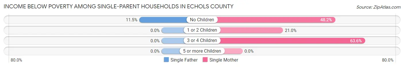 Income Below Poverty Among Single-Parent Households in Echols County