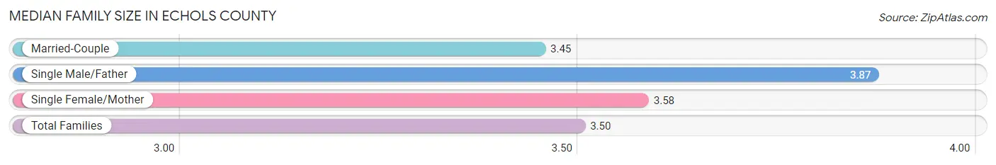 Median Family Size in Echols County